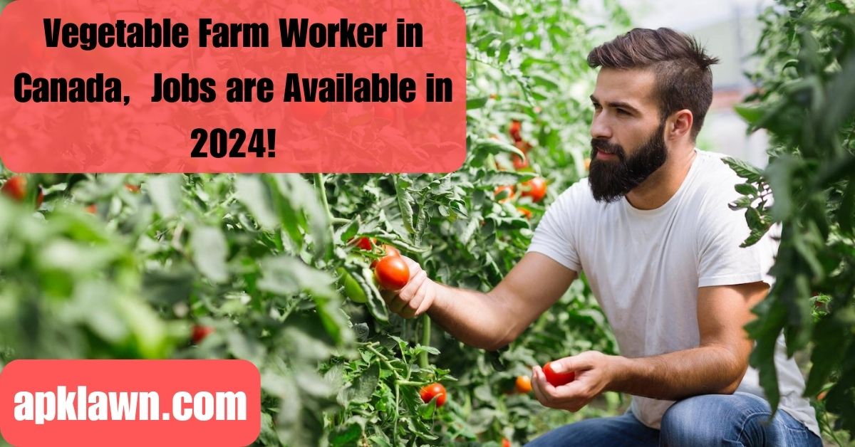 Start Your Career as a Vegetable Farm Worker in Canada, Seasonal Jobs are Available in 2024!