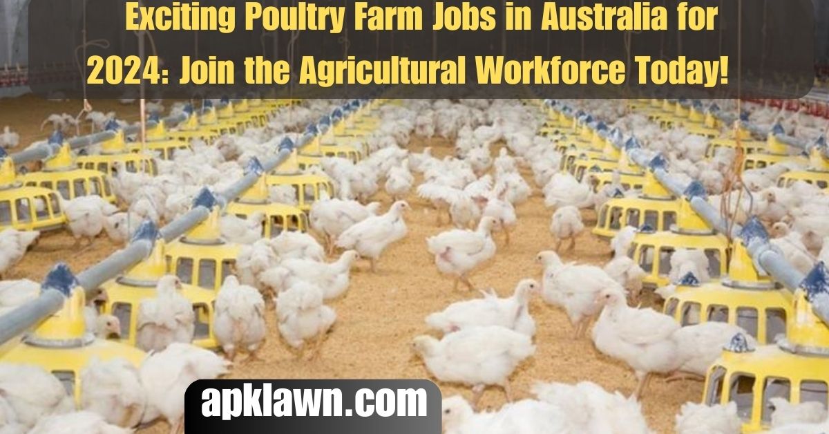 Exciting Poultry Farm Jobs in Australia for 2024: Join the Agricultural Workforce Today!