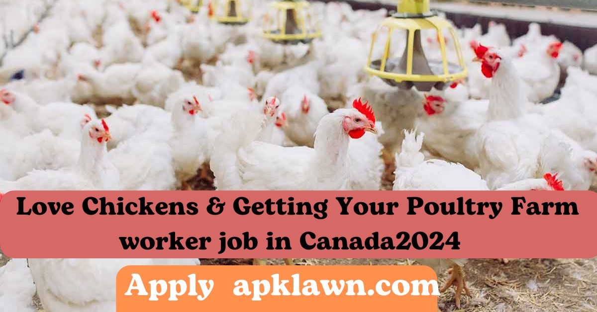 Love Chickens & Getting Your Hands Dirty? Get Paid $16.71/hr at Magalas Produce!