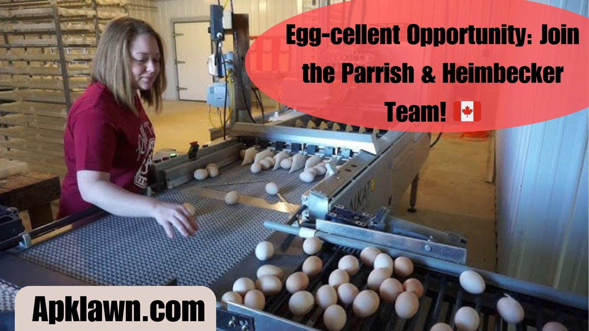 Egg-cellent Opportunity: Join the Parrish & Heimbecker Team! 🇨🇦