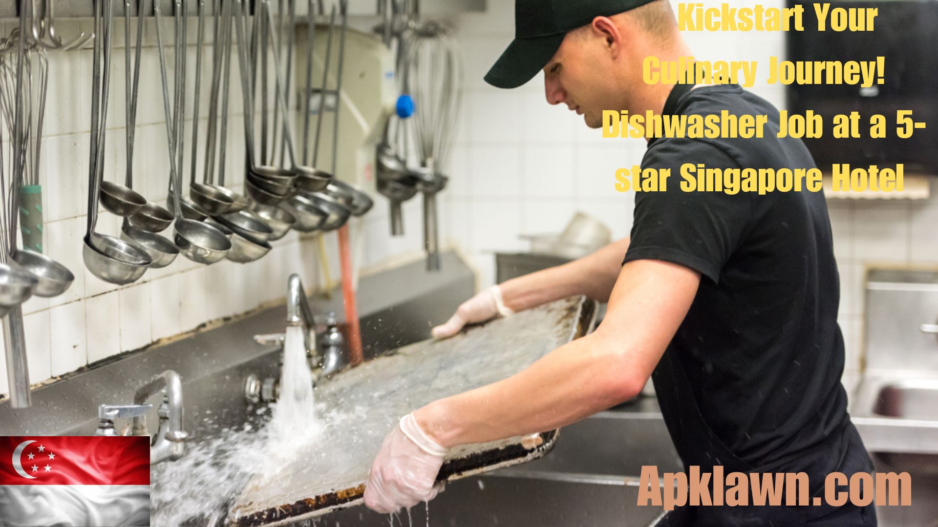 Kickstart Your Culinary Journey! Dishwasher Job at a 5-Star Singapore Hotel (Click to Apply!)