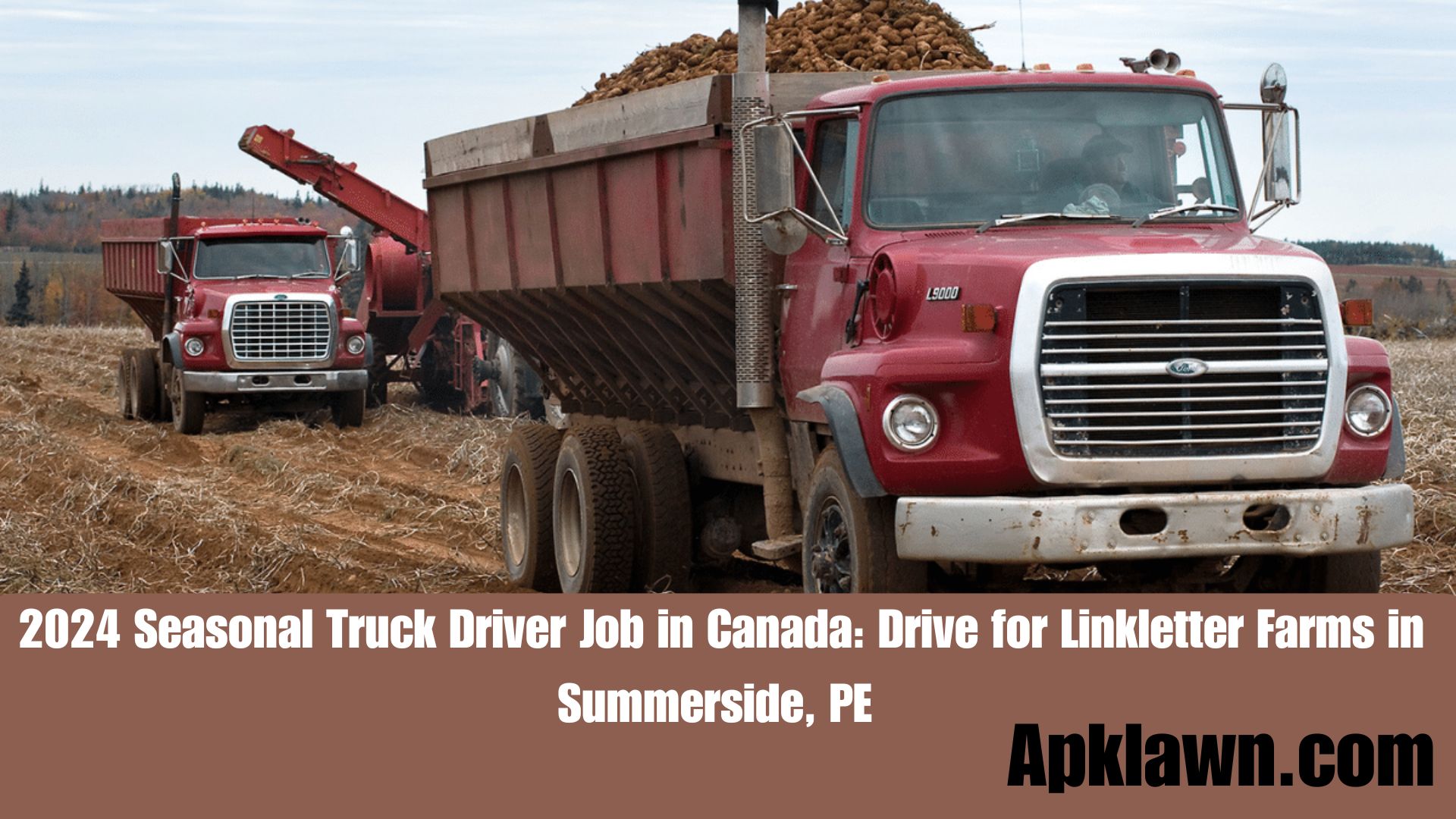 2024 Seasonal Truck Driver Job in Canada: Drive for Linkletter Farms in Summerside, PE