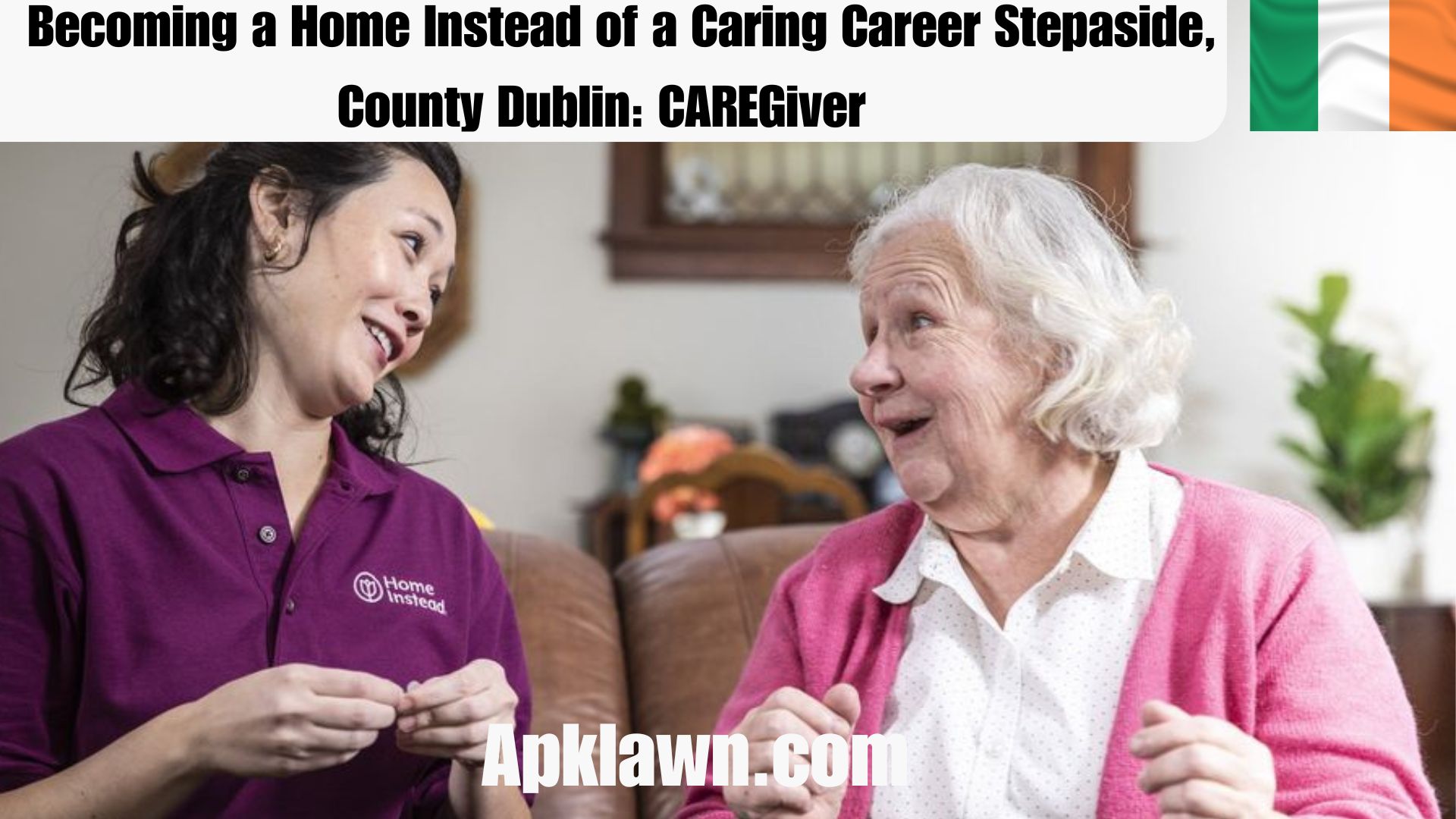 Becoming a Home Instead of a Caring Career Stepaside, County Dublin: CAREGiver