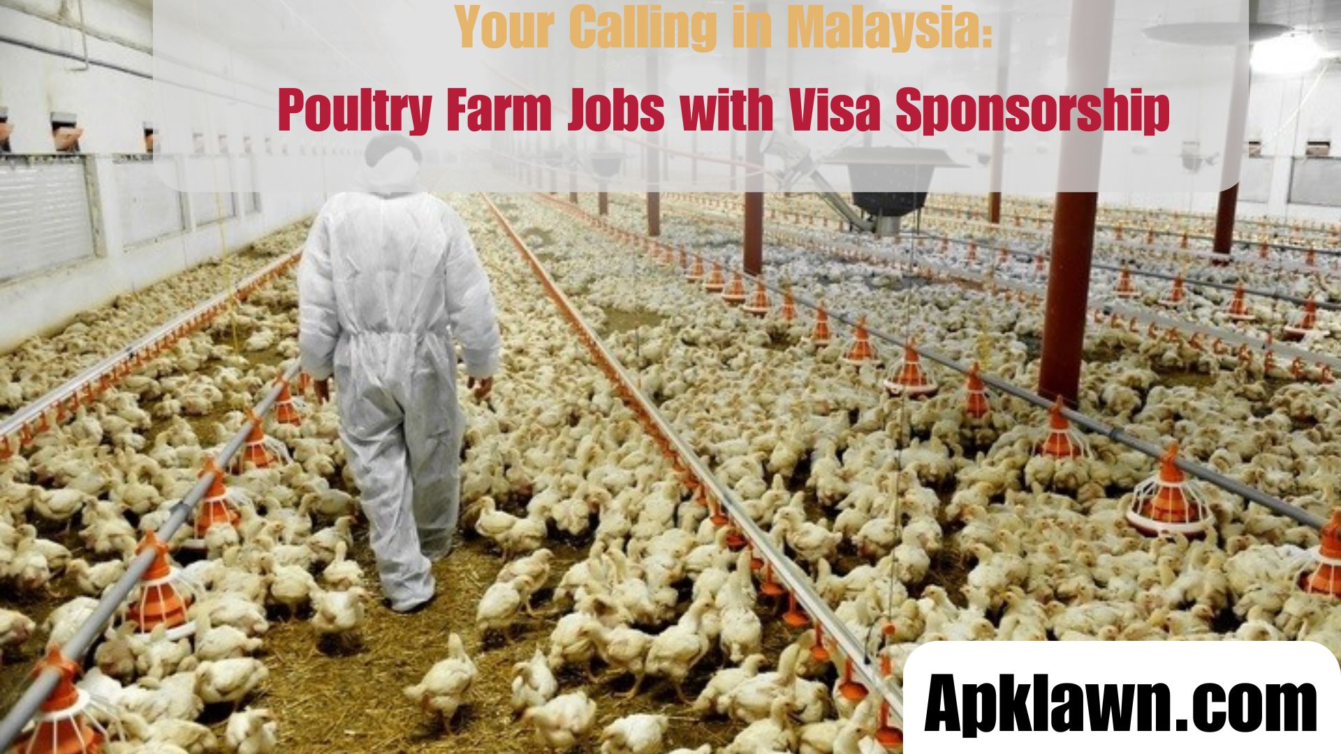 Hatch Your Career in Malaysia: Poultry Farm Jobs with Visa Sponsorship