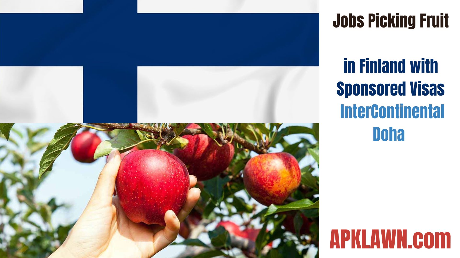 Choose Your Future: Jobs Picking Fruit in Finland with Sponsored Visas