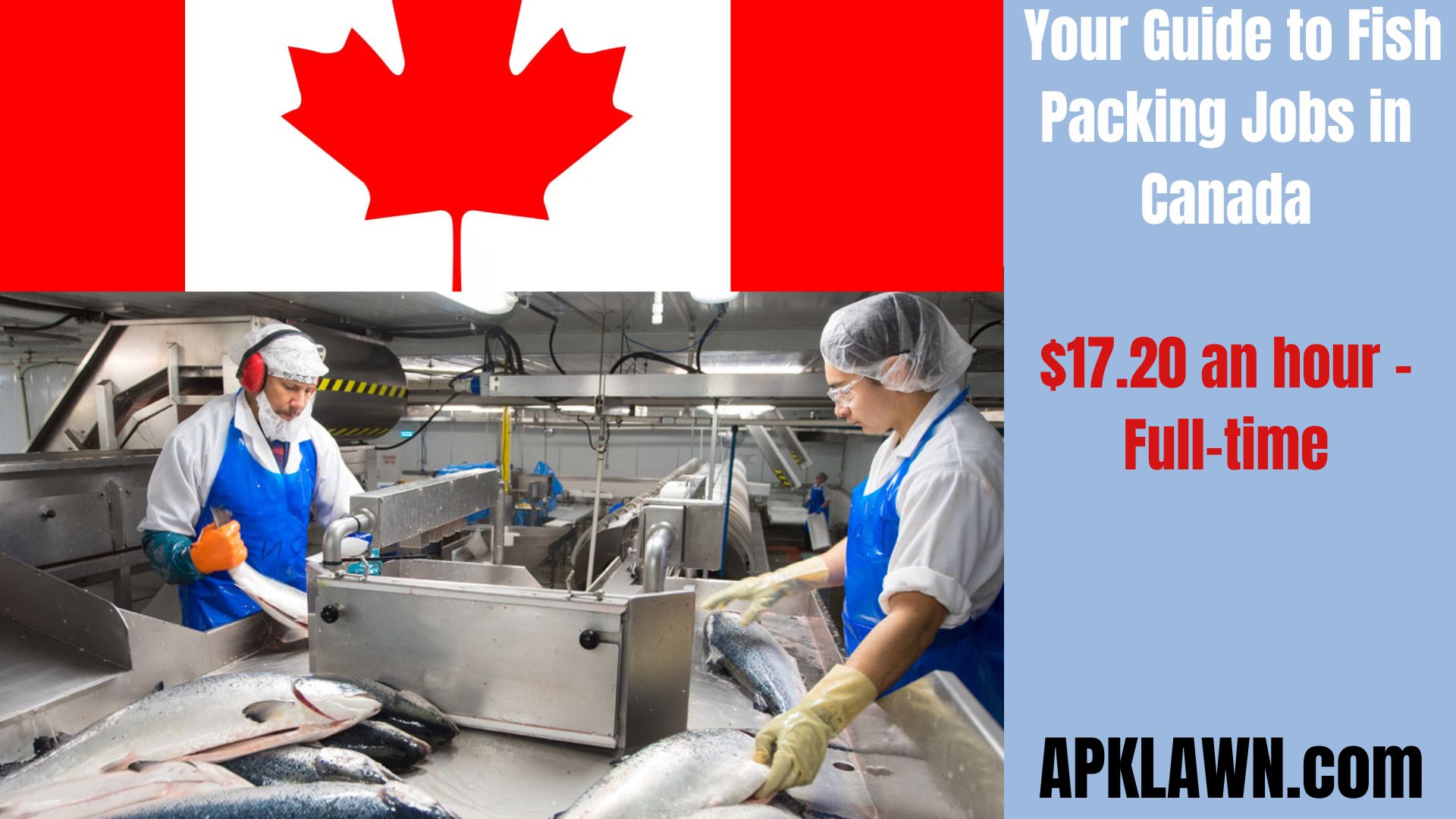 Hooked on Opportunity: Your Guide to Fish Packing Jobs in Canada