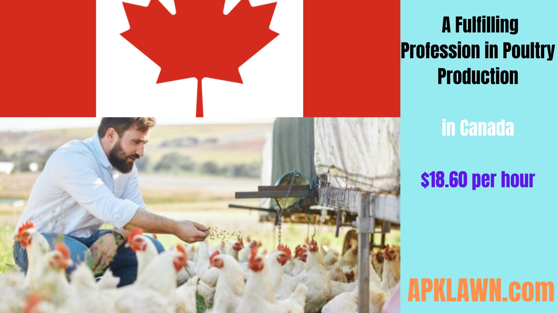 Come Work with the Rundle Brothers: A Fulfilling Profession in Poultry Production