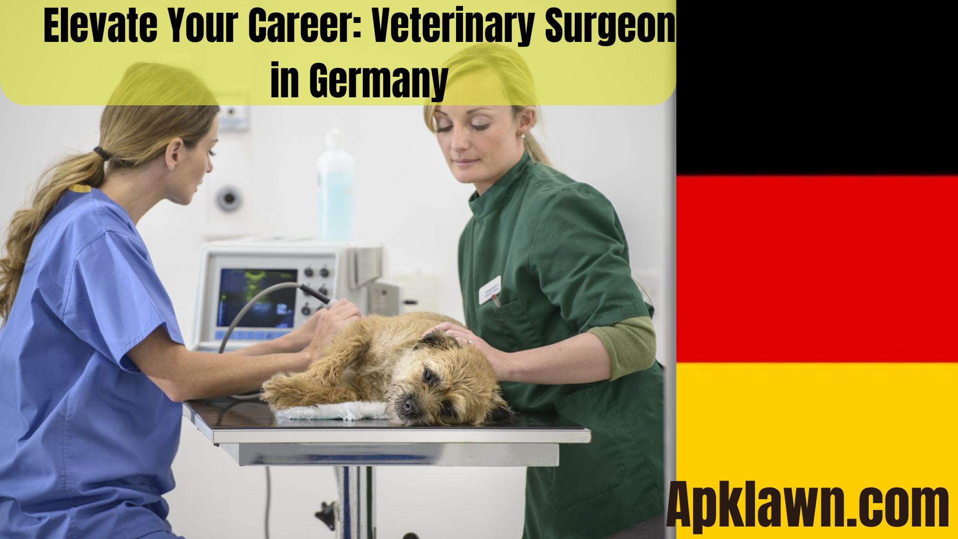 Elevate Your Career: Veterinary Surgeon in Germany