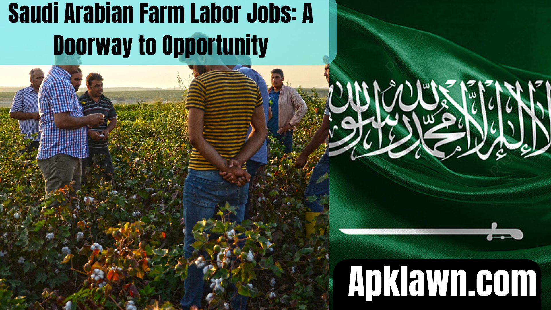 Saudi Arabian Farm Labor Jobs: A Doorway to Opportunity, Culture, and Sunshine!