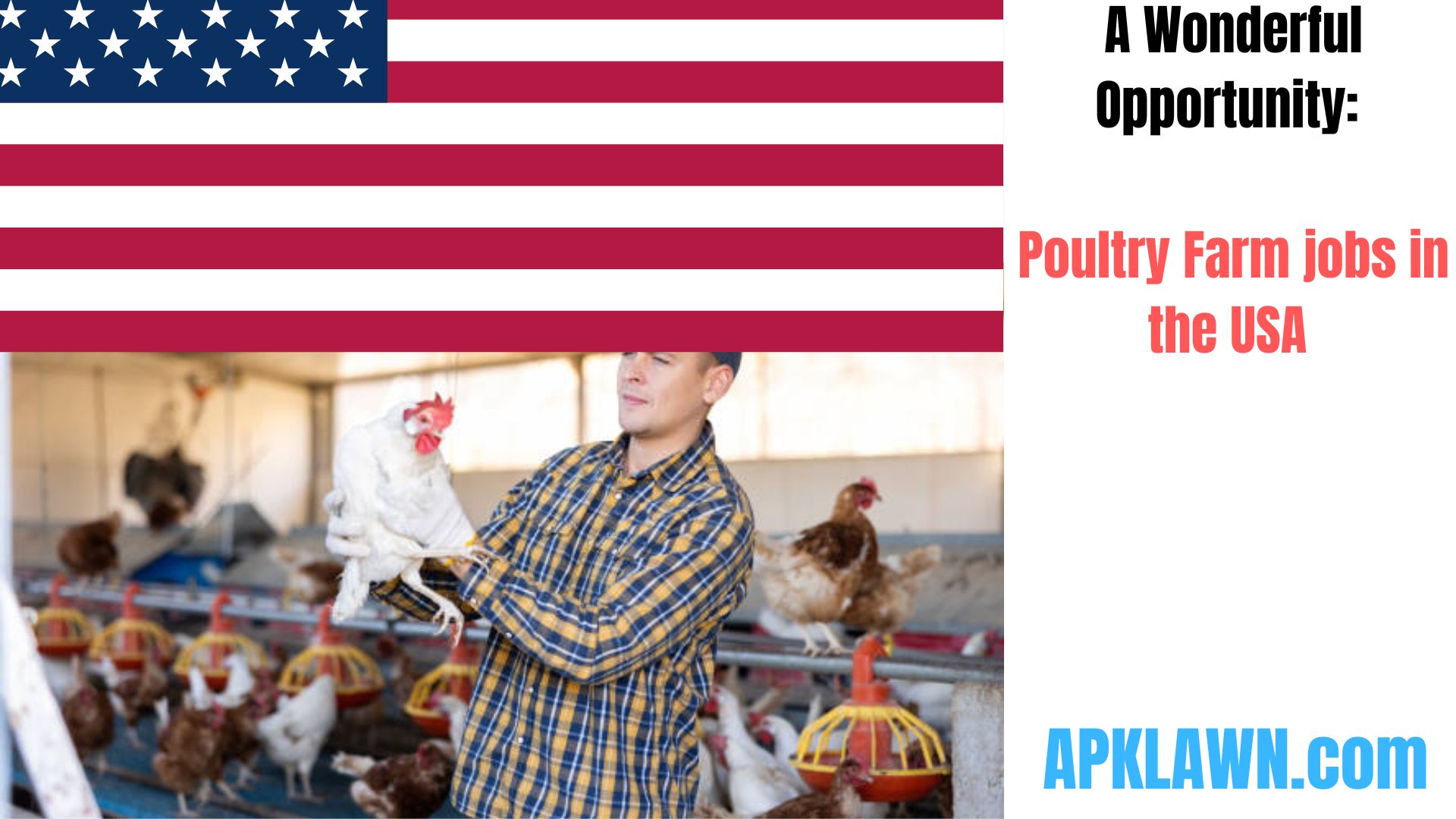 A Wonderful Opportunity: Secure Your Future as a Poultry Farm Employee in the USA by Getting Sponsored for a Visa