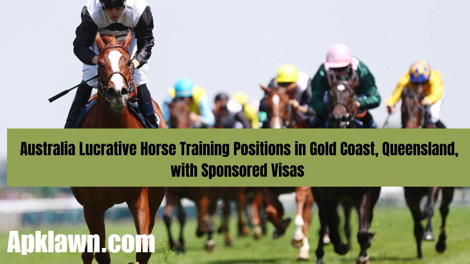 Unleash Your Profession: Lucrative Horse Training Positions in Gold Coast, Queensland, with Sponsored Visas