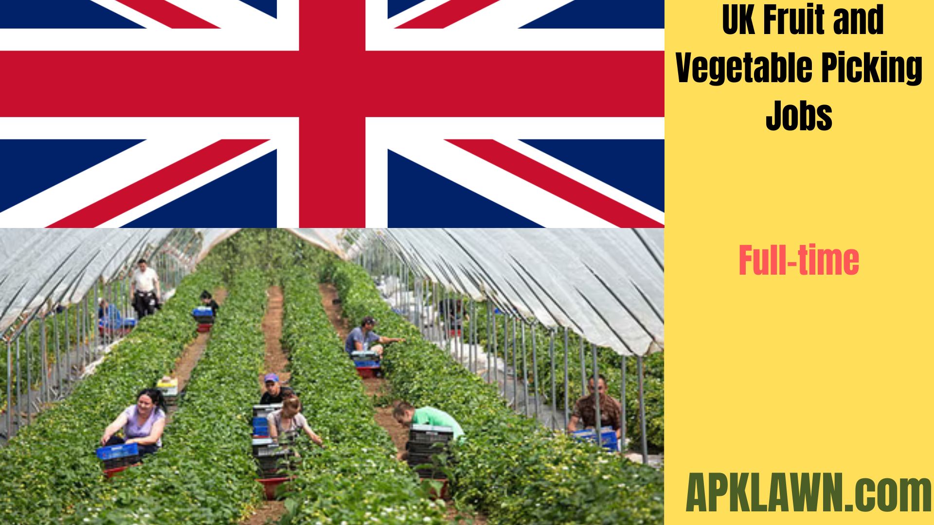 Harvest Your Future: UK Fruit and Vegetable Picking Jobs: An Entryway to Exploration