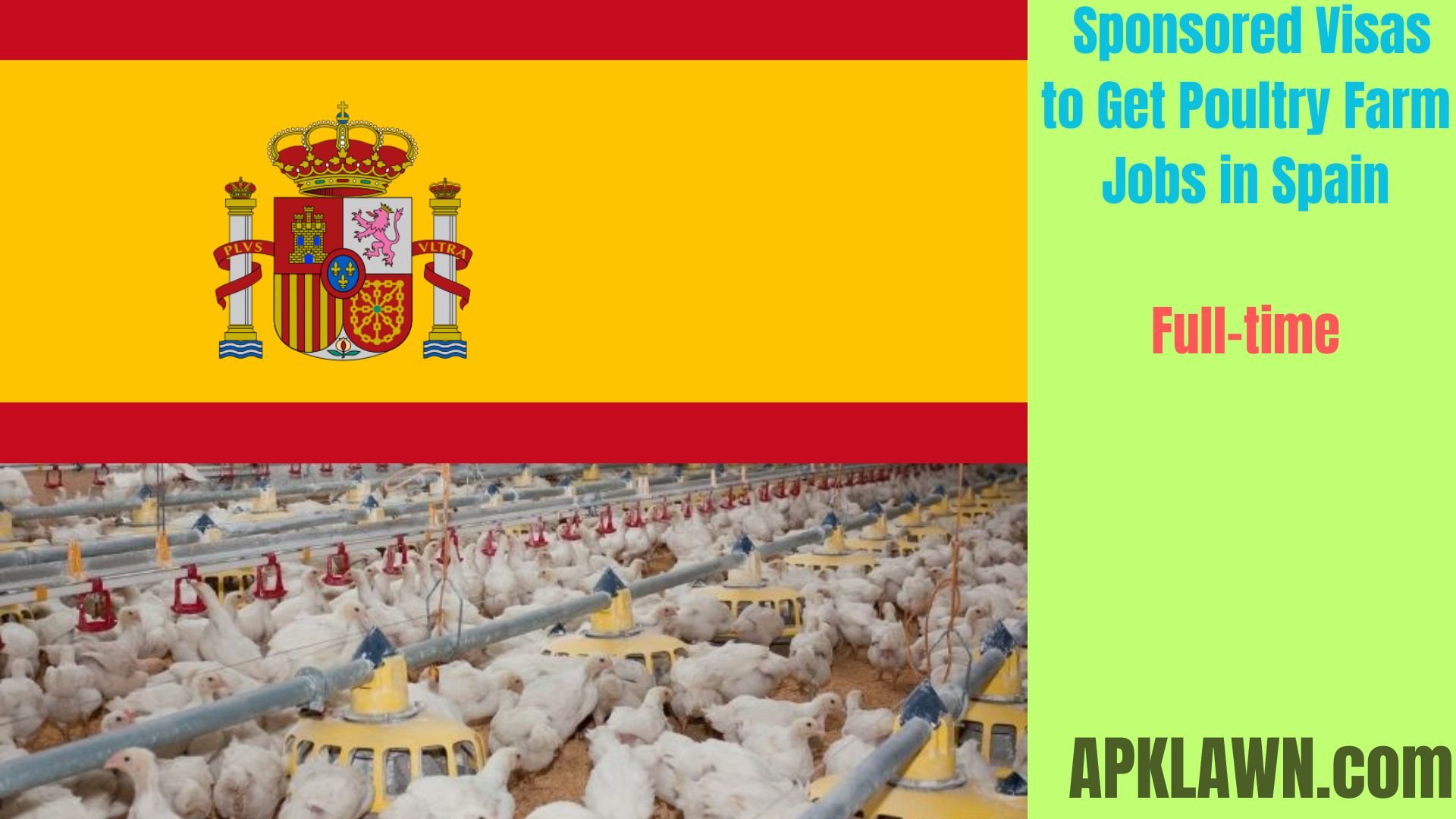 Your Comprehensive Guide on Using Sponsored Visas to Get Poultry Farm Jobs in Spain